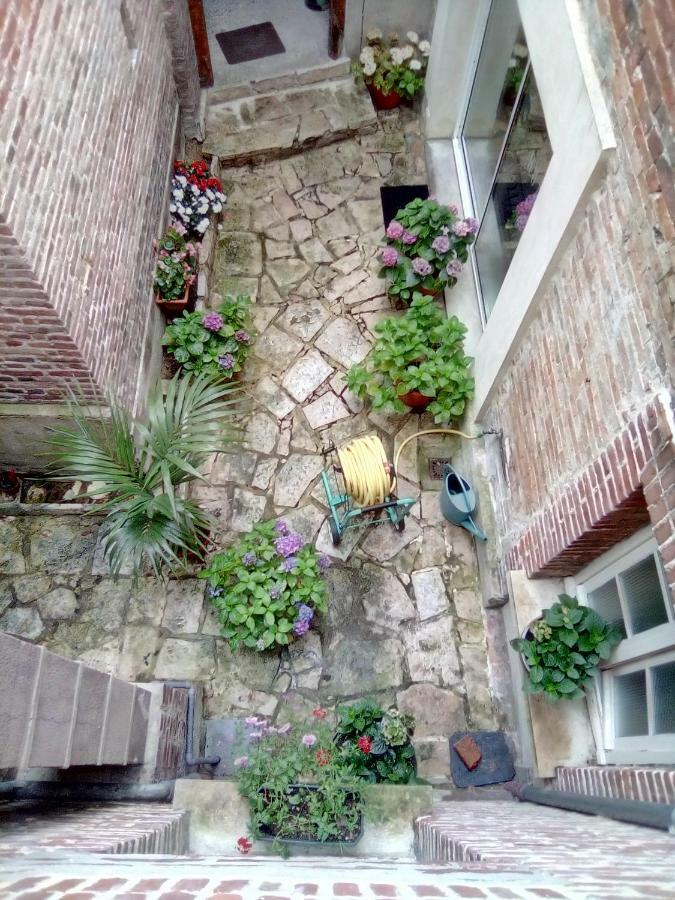 Alex Guest House Dozulé Dış mekan fotoğraf